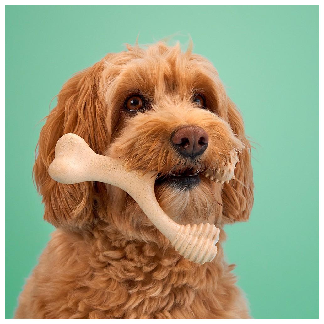 BetterBone - Brinquedo de Roer Natural para Cães Dureza Média Beef