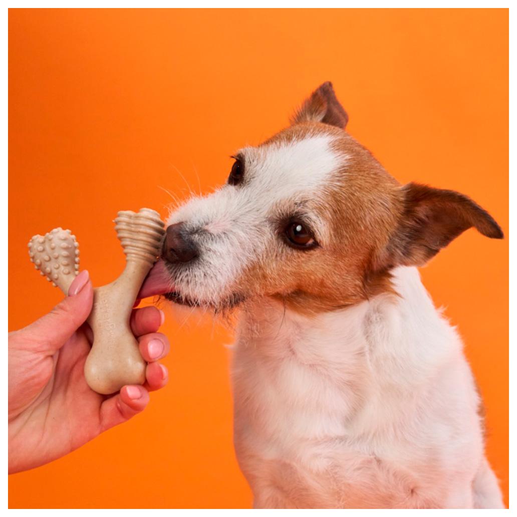 BetterBone - Brinquedo de Roer Natural para Cães Duro Classic