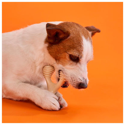 BetterBone - Brinquedo de Roer Natural para Cães Duro Beef