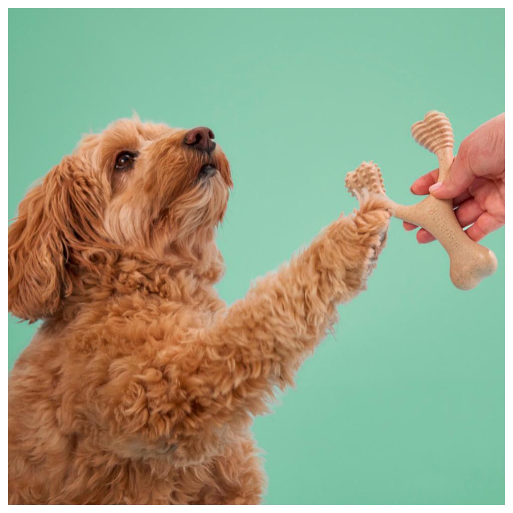 BetterBone - Brinquedo de Roer Natural para Cães Dureza Média Classic