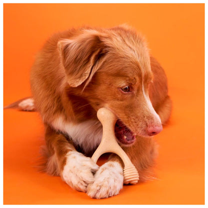 BetterBone - Brinquedo de Roer Natural para Cães Duro Classic