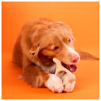 BetterBone - Brinquedo de Roer Natural para Cães Duro Beef