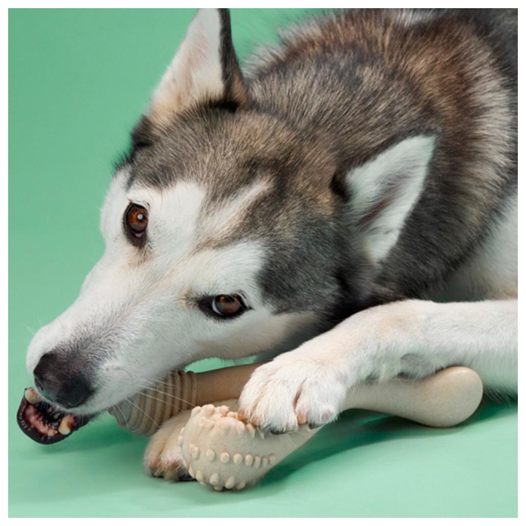 BetterBone - Brinquedo de Roer Natural para Cães Dureza Média Beef