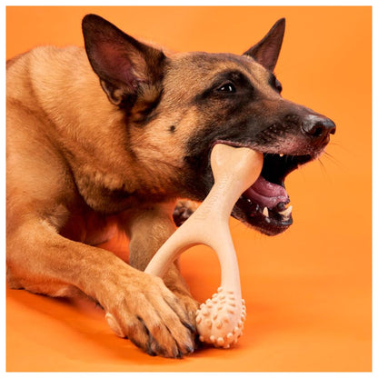 BetterBone - Brinquedo de Roer Natural para Cães Duro Beef