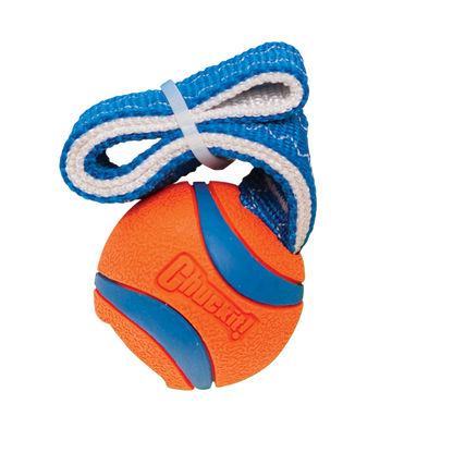 Chuckit! Ultra Tug - Bola com Pega para Cão