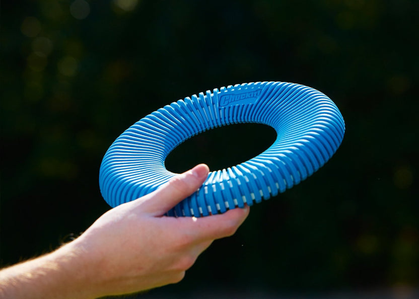Chuckit! Rugged Flyer - Frisbee Flutuante para Cão 24 cm
