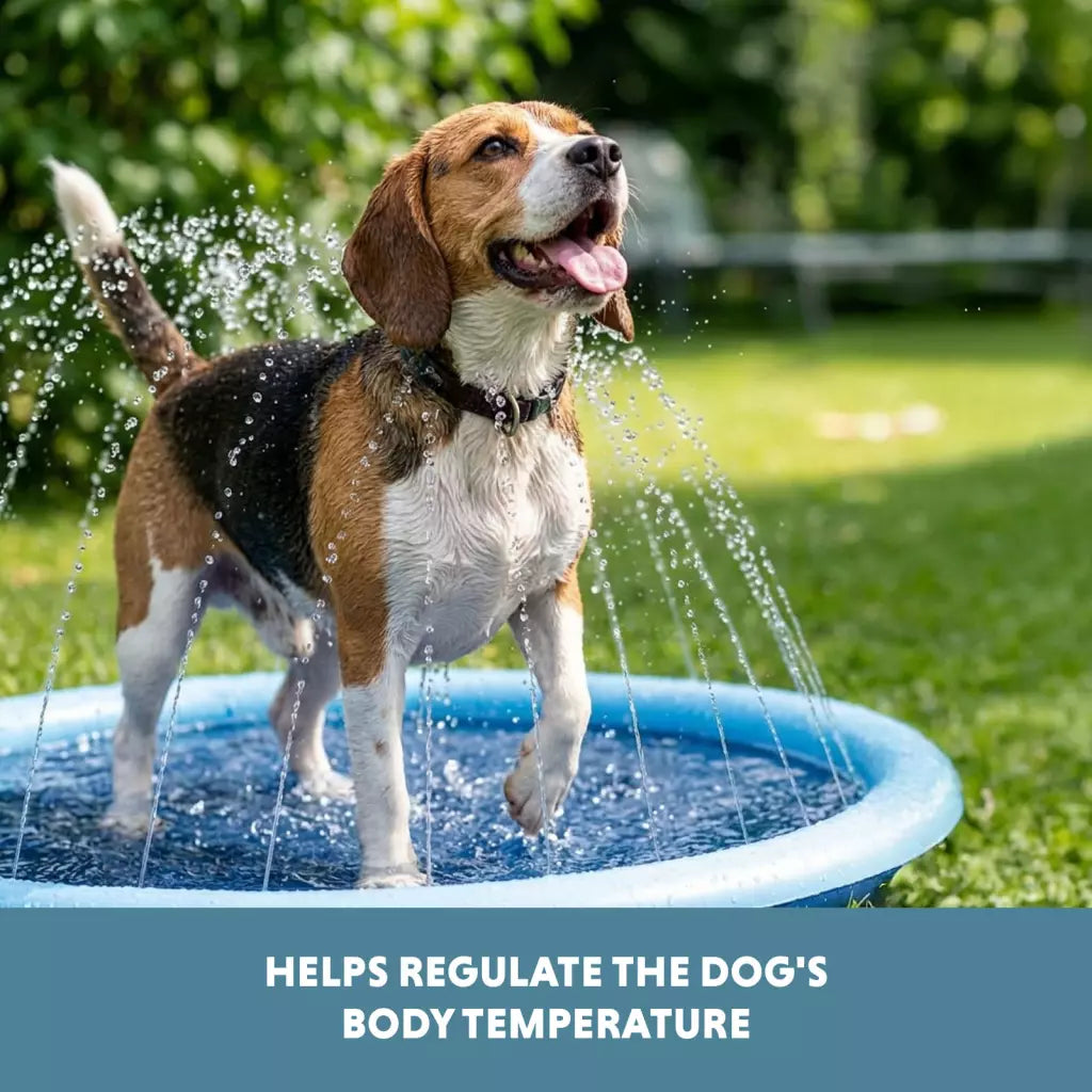 Coolpets - Splash Sprinkler Pad para Cão