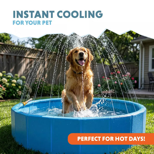 Coolpets - Splash Sprinkler Pool para Cão