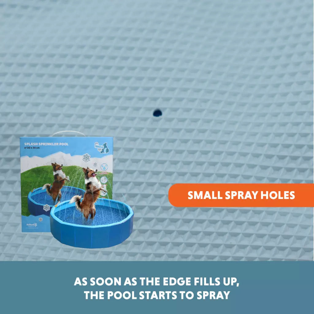 Coolpets - Splash Sprinkler Pool para Cão
