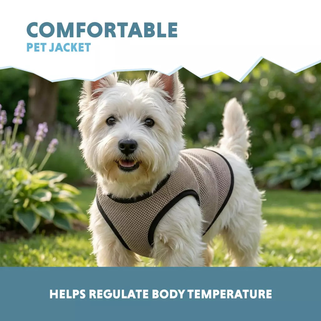 Coolpets - Cooling Vest Colete Refrescante para Cão