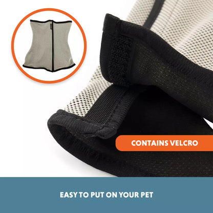 Coolpets - Cooling Vest Colete Refrescante para Cão
