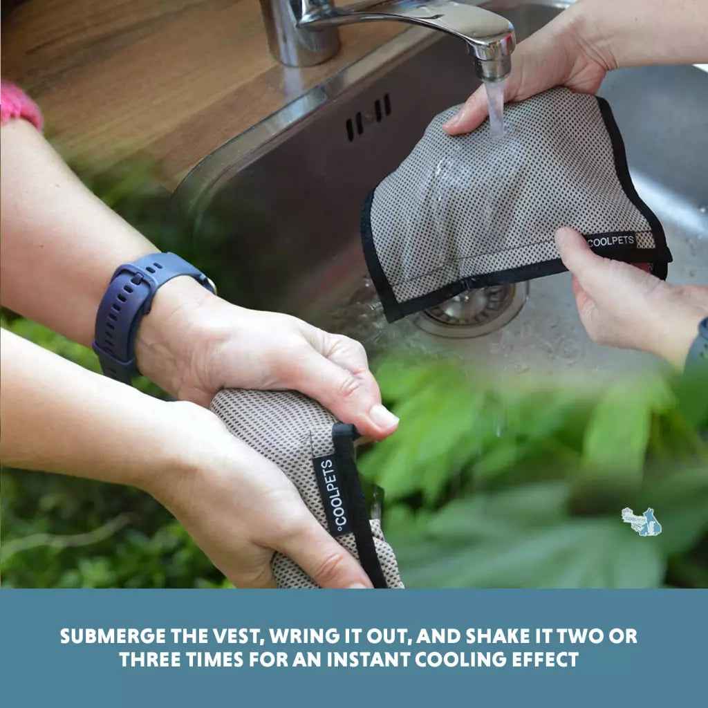 Coolpets - Cooling Vest Colete Refrescante para Cão