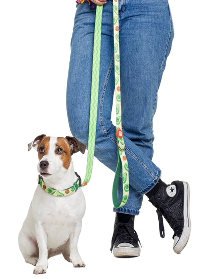 Dukier - Coleira Avocato