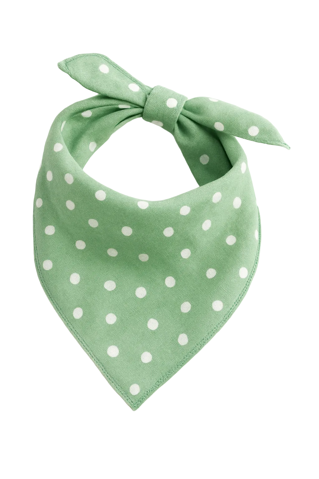 Lenço para Cães e Gatos