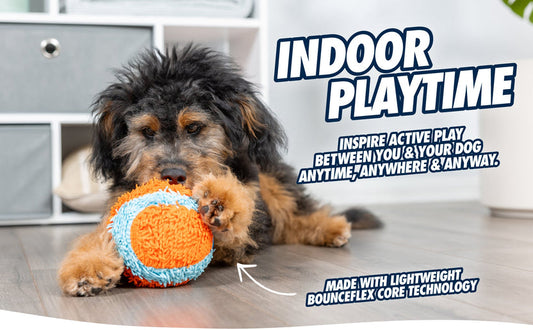 Chuckit! - Indoor Shaker
