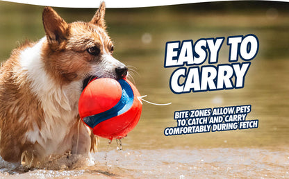Chuckit! Kick Fetch - Bola de Futebol para Cão