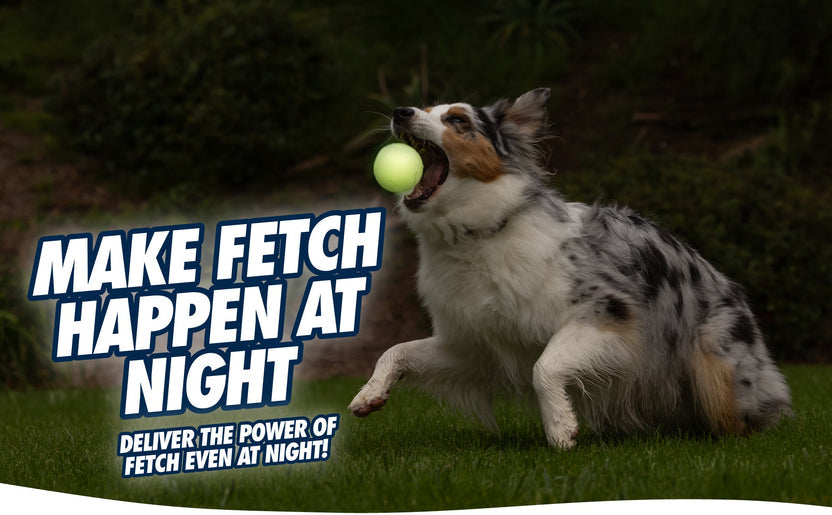 Chuckit! - Max Glow Ultra Squeaker Ball M