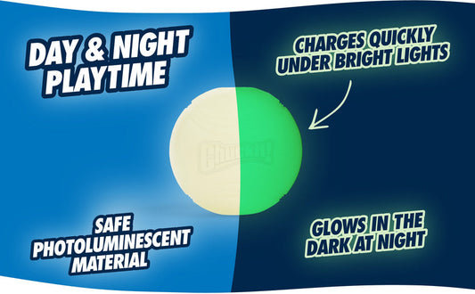 Chuckit! - Max Glow Ultra Squeaker Ball M