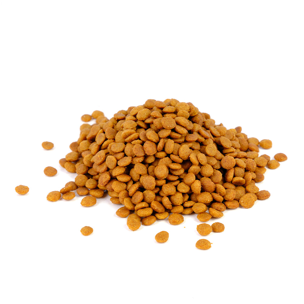 Natura Diet - Cat Kitten Chicken