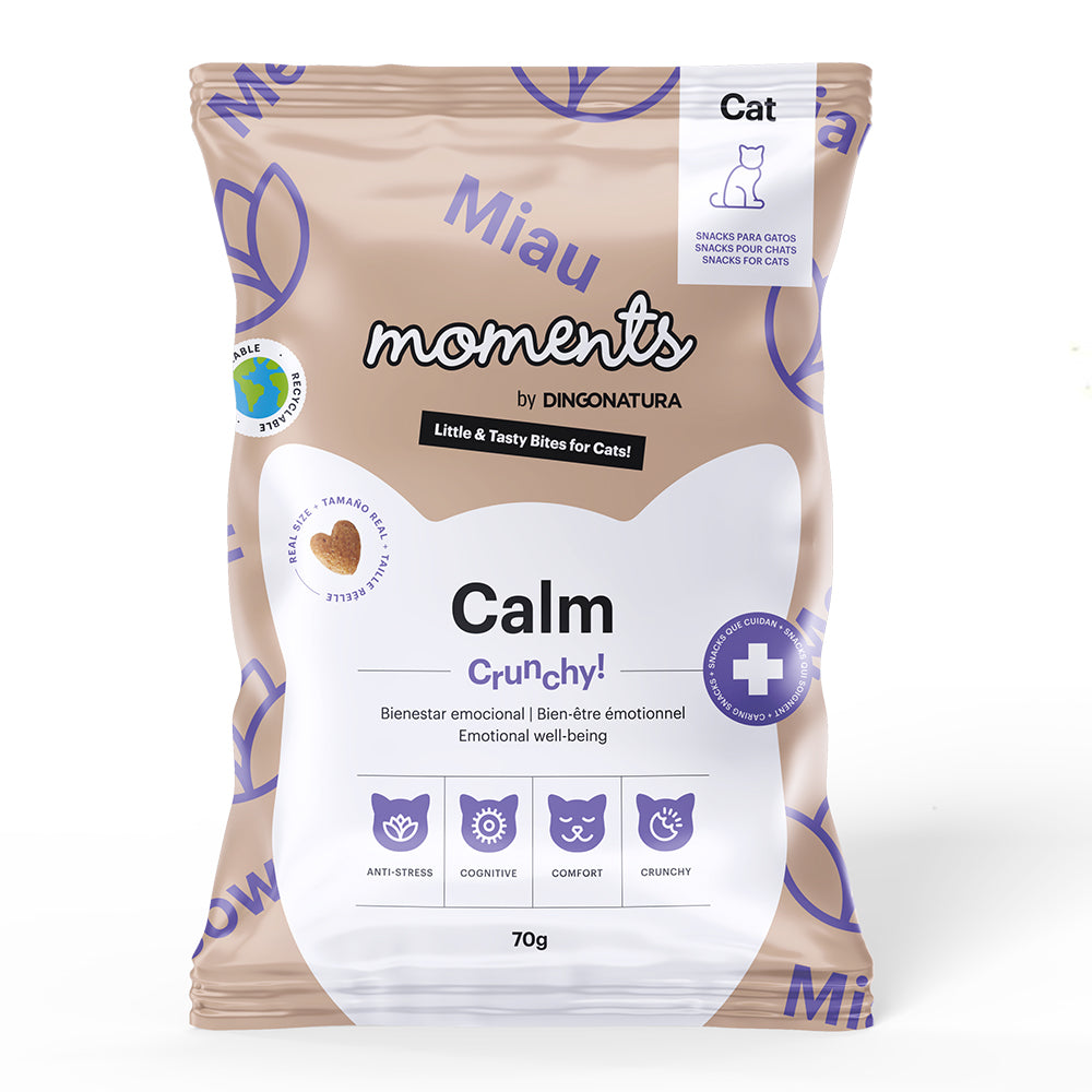 Moments - Cat Snack Calm