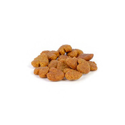 Moments - Cat Snack Calm
