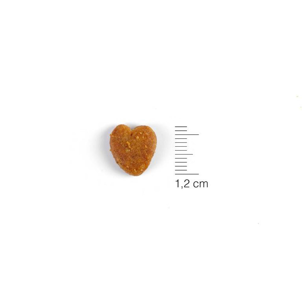 Moments - Cat Snack Calm