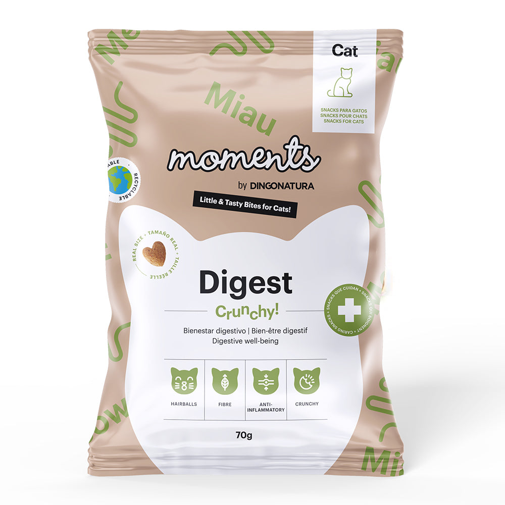 Moments - Cat Snack Digest