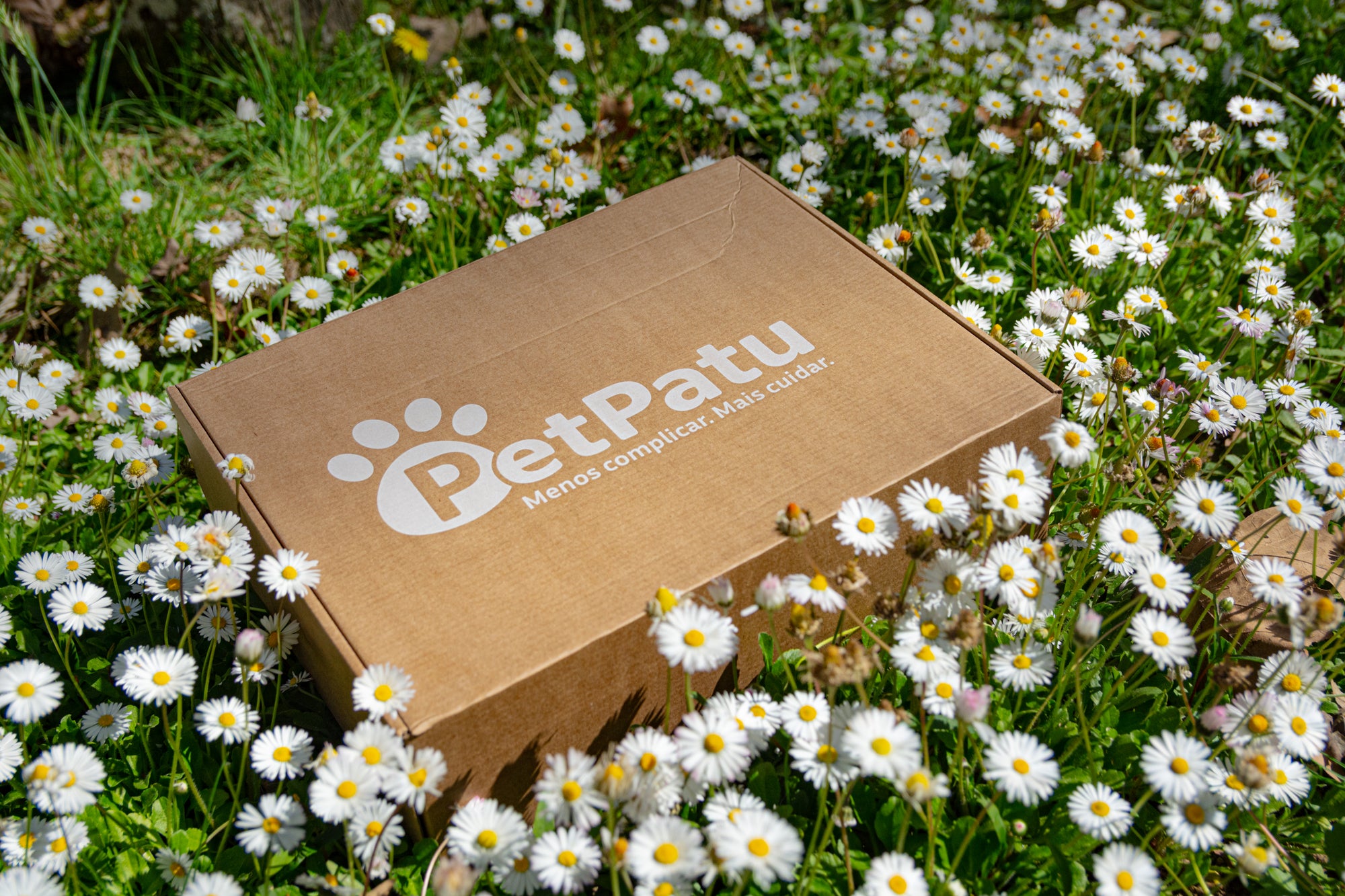 Aproveite a Primavera