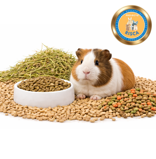 Pack Essêncial Versele-Laga | Porquinho-da-índia