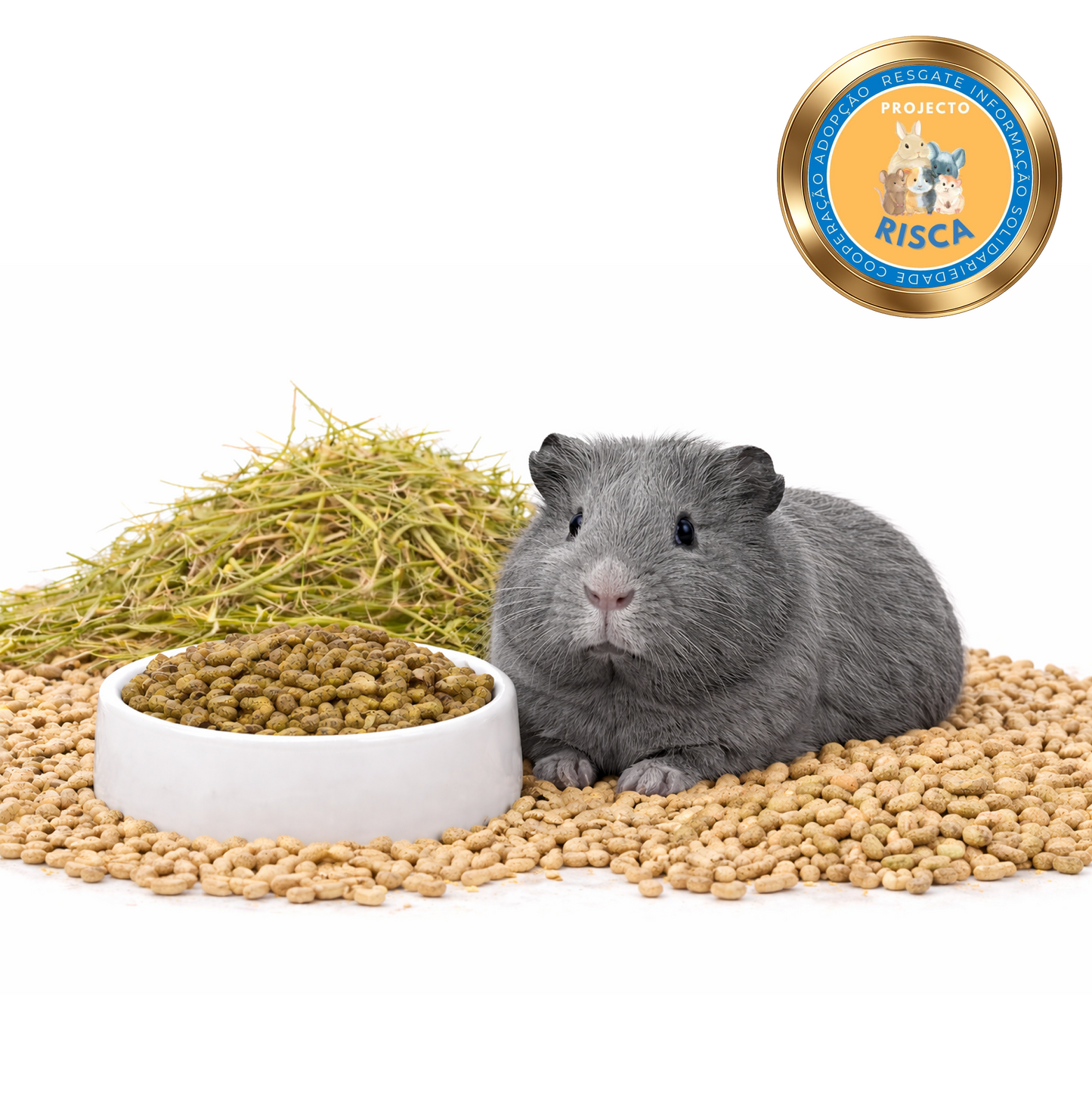 Pack Essêncial Burgess | Porquinho-da-índia