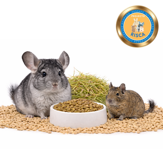 Pack Essêncial Versele-Laga | Chinchila & Degu