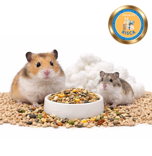 Pack Essêncial | Hamster