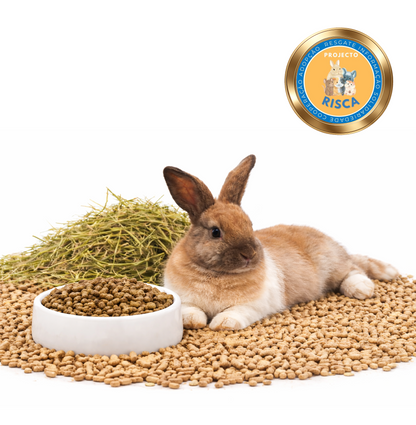 Pack Essêncial Versele-Laga | Coelho Adulto