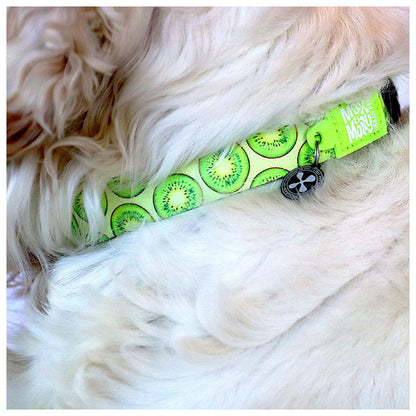 Max & Molly - Coleira Kiwi com ID Tag