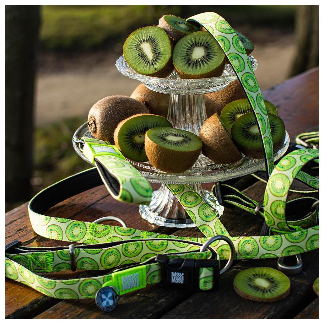 Max & Molly - Coleira Kiwi com ID Tag