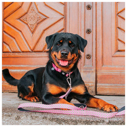 Max & Molly - Coleira Retro Pink com ID Tag
