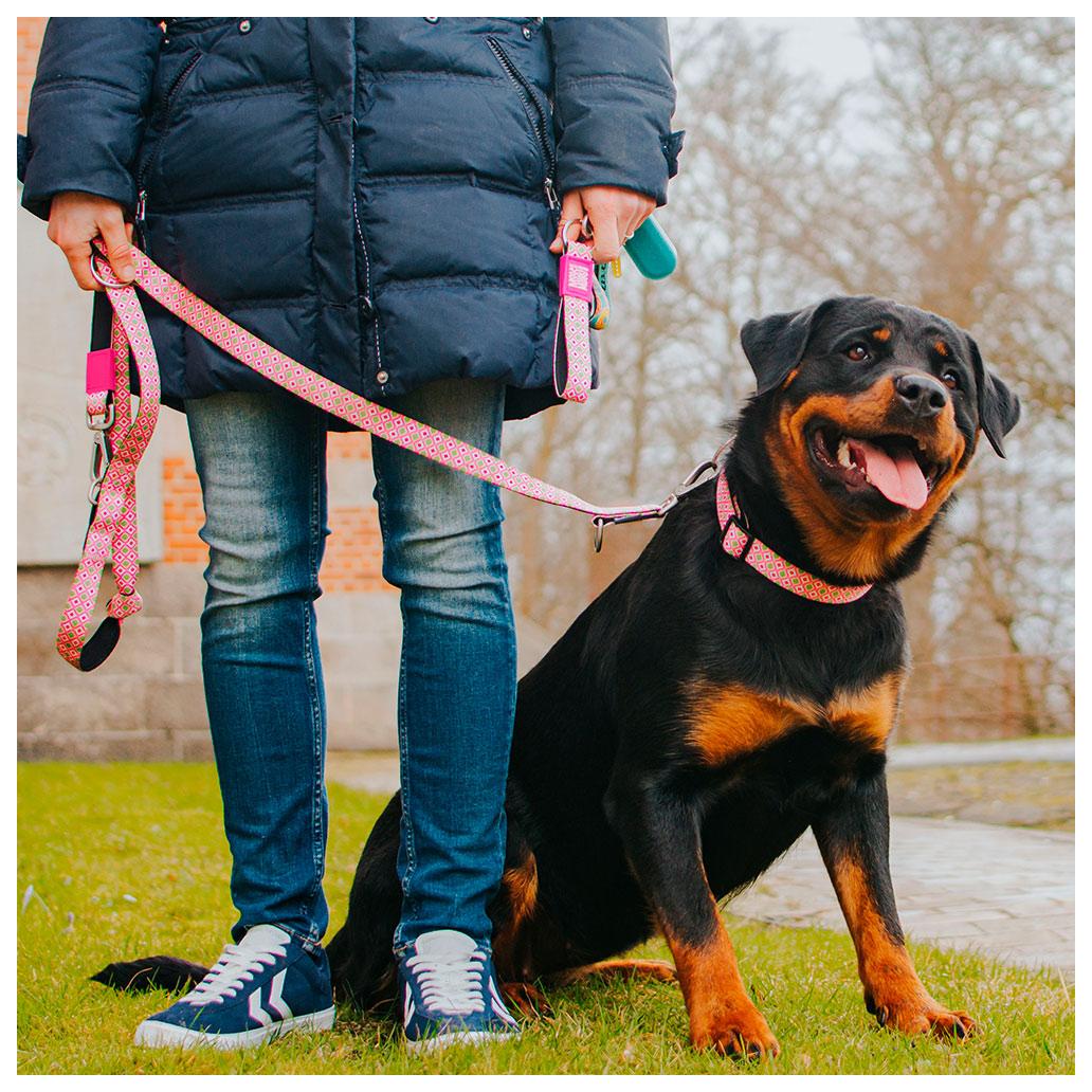 Max & Molly - Coleira Retro Pink com ID Tag