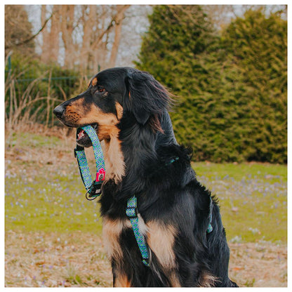 Max & Molly - Coleira Retro Blue com ID Tag