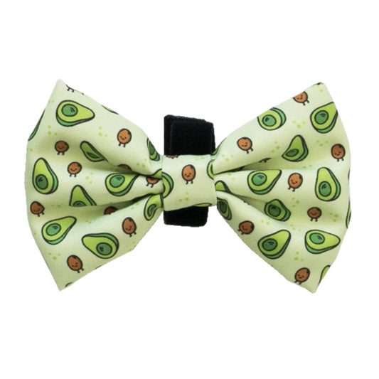 Dukier - Laço Avocato para Cão