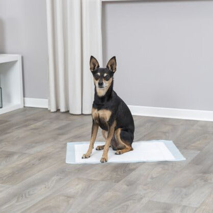 Jollypaw - Resguardos Impermeáveis