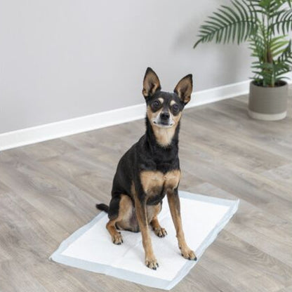 Jollypaw - Resguardos Impermeáveis