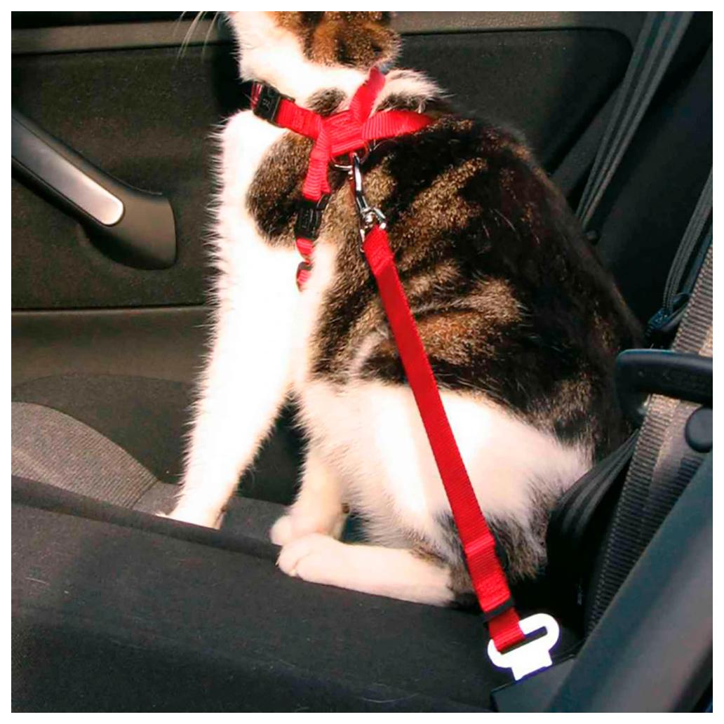 Trixie - Peitoral de Segurança para Automóvel para Gatos