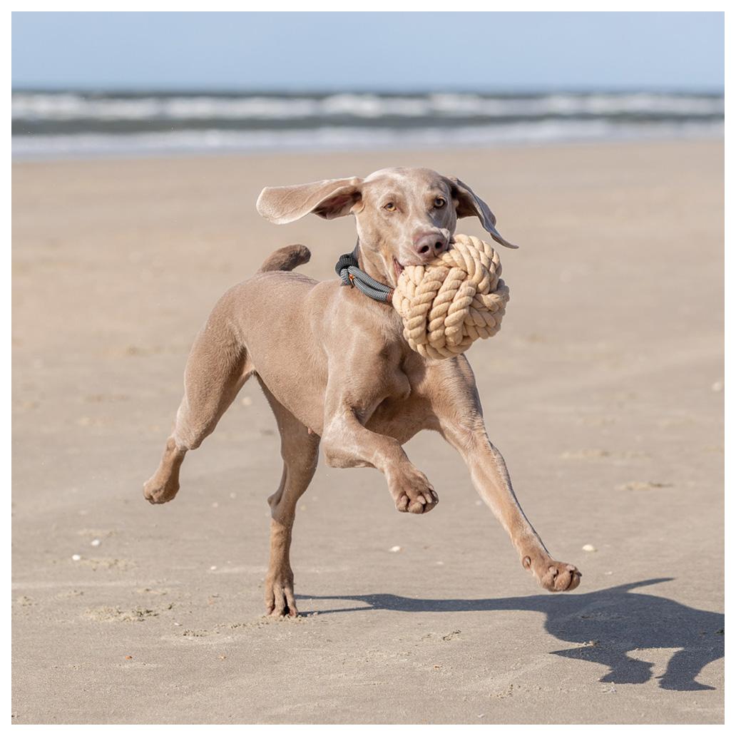 Trixie - Bola 'Be Nordic'