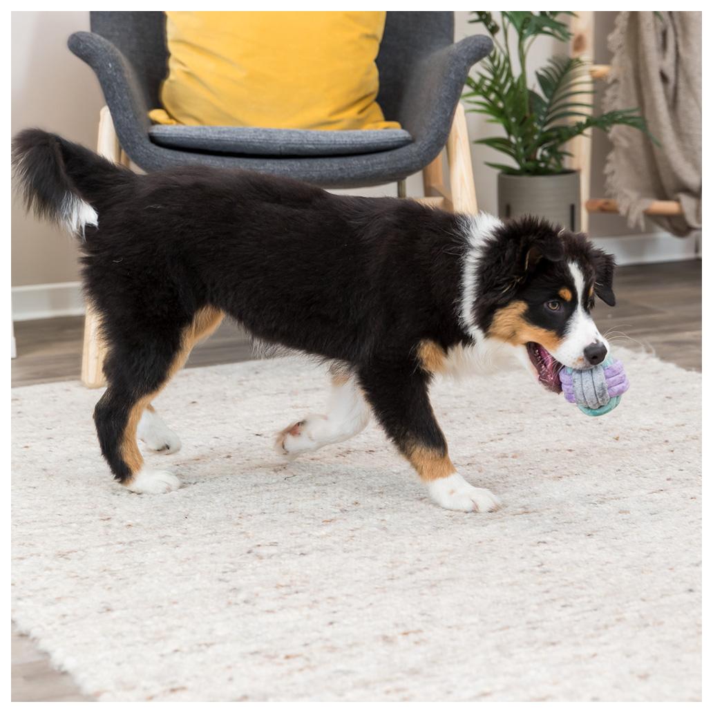 Trixie - Bola em Corda Algodão