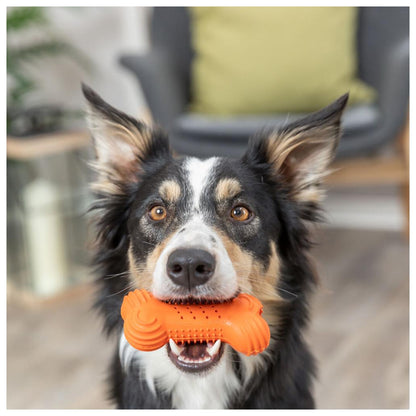Trixie - Osso de Borracha Natural com Som Metálico