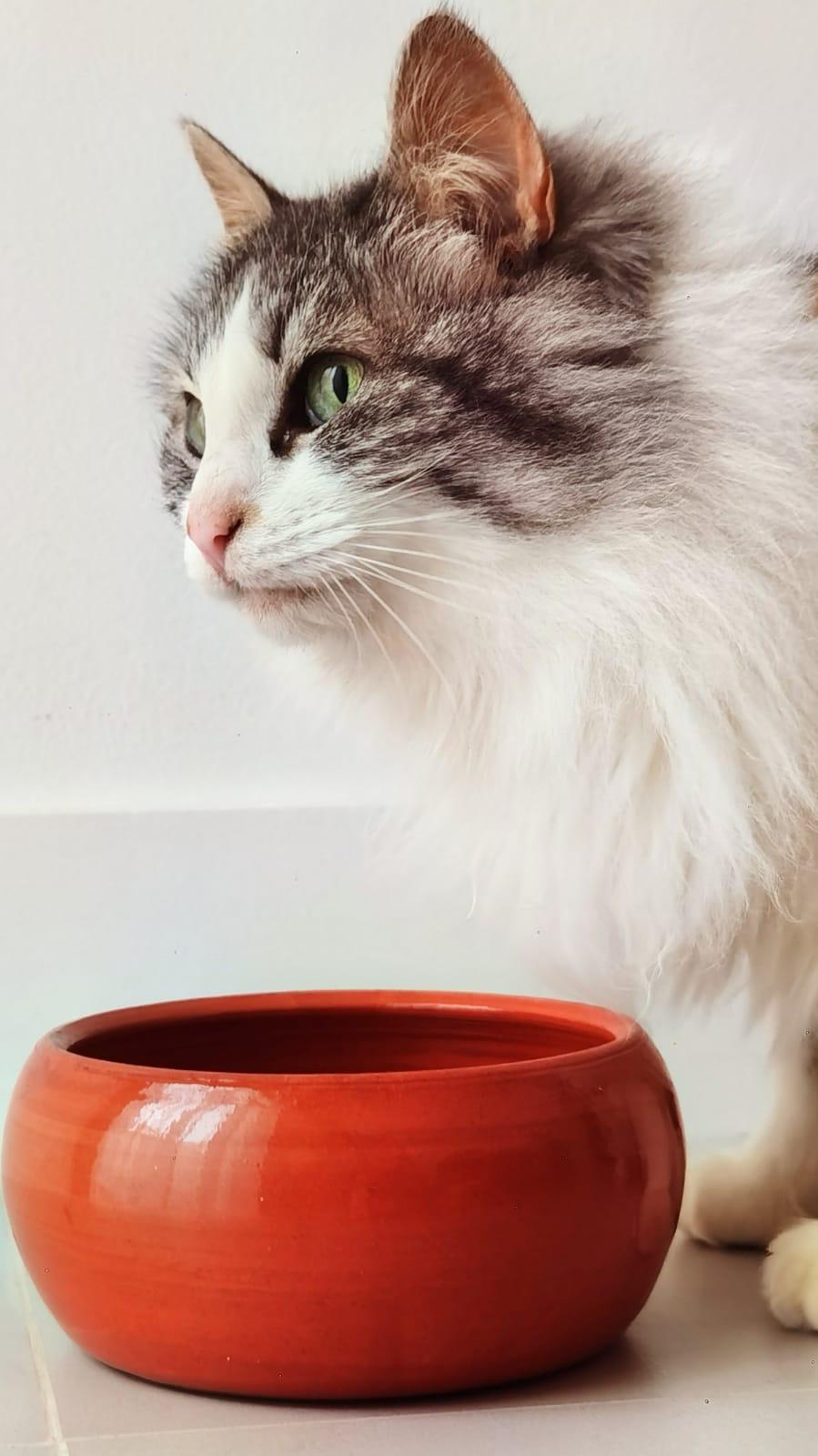 Taça Artesanal em Cerâmica Redonda