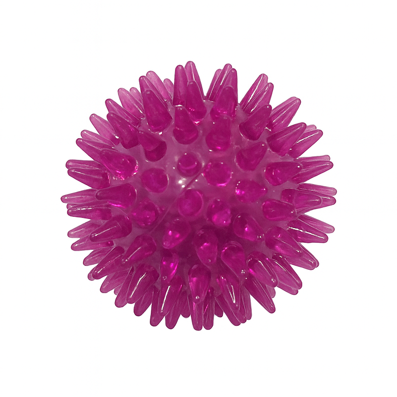 Bola com Espinhos de Borracha