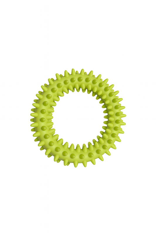 Brinquedo Mordedor Circular de Borracha