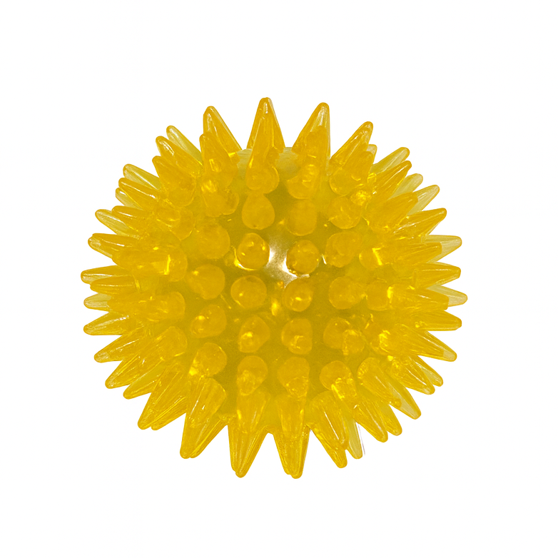Bola com Espinhos de Borracha