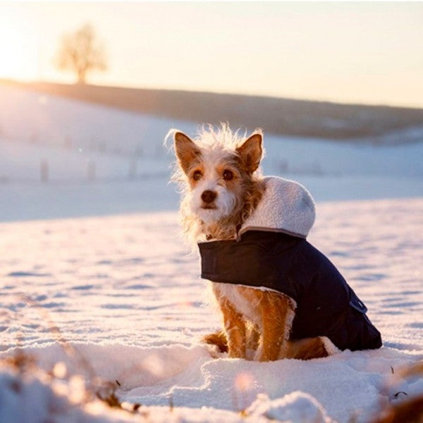 Kerbl - Casaco Impermeável Teddy